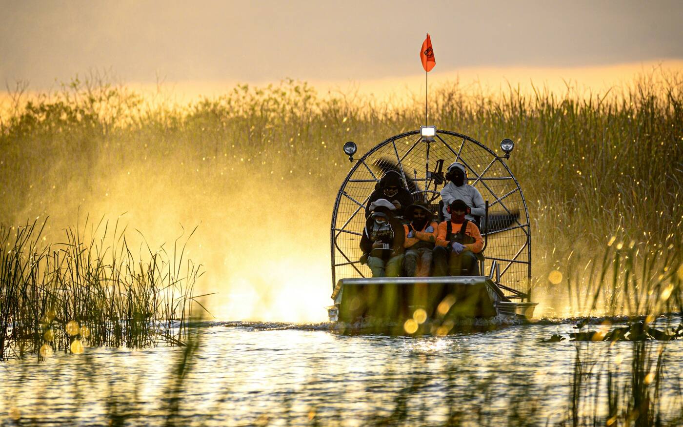 Everglades Airboat Safari
