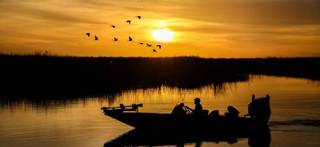 Everglades Airboat Safari