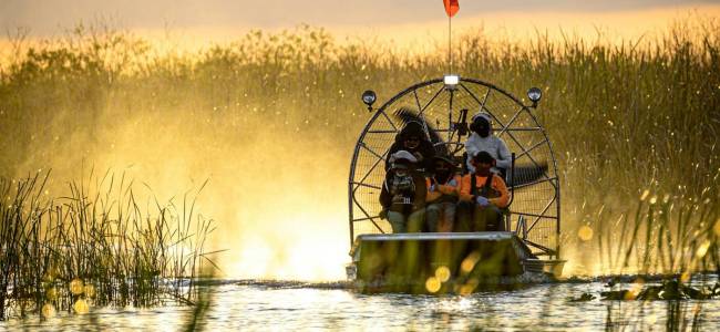 Everglades Airboat Safari