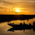 Everglades Airboat Safari