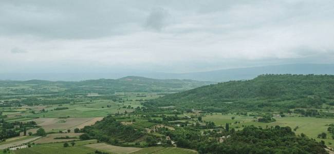 Lavender Fields and Village Markets