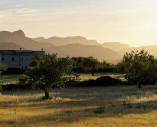 Tramuntana Finca