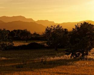 Tramuntana Finca