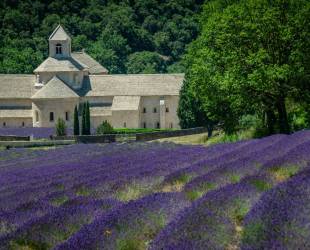 Lavender Villas Provence
