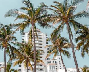Palm Court Residences
